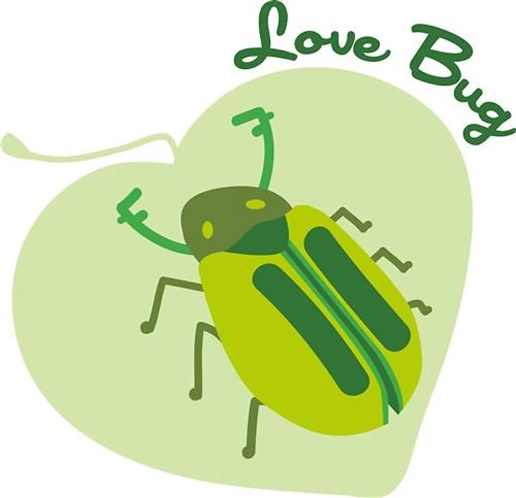 Love Bug Beetle