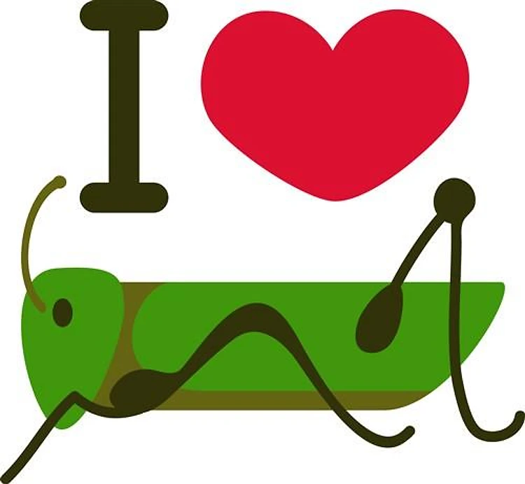 I Love Cricket