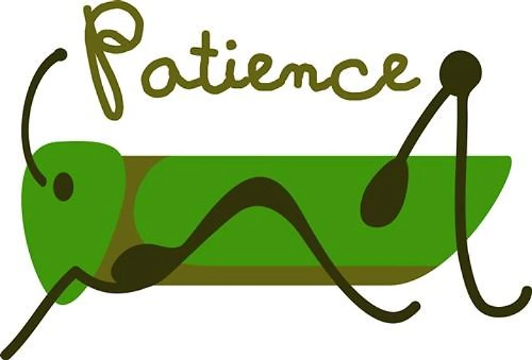 Patience Grasshopper