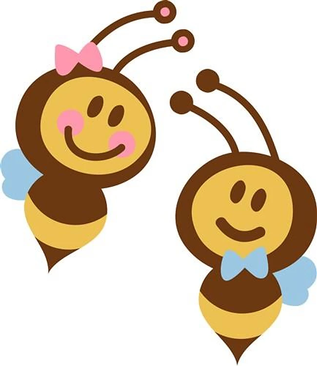 Boy and Girl Bees