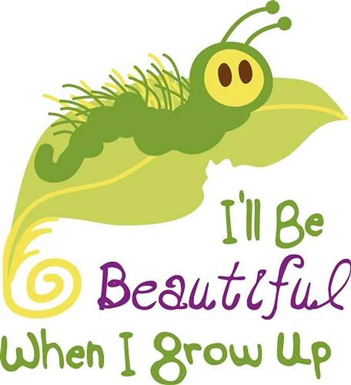 Beautiful Caterpillar