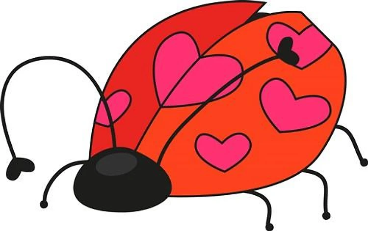 Lady Bug