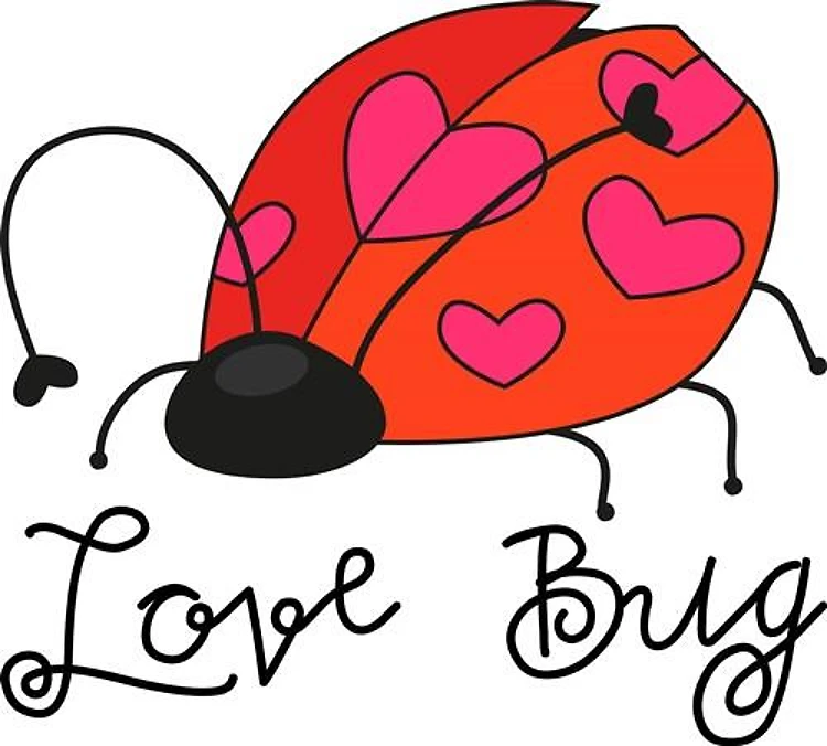 Lady Love Bug