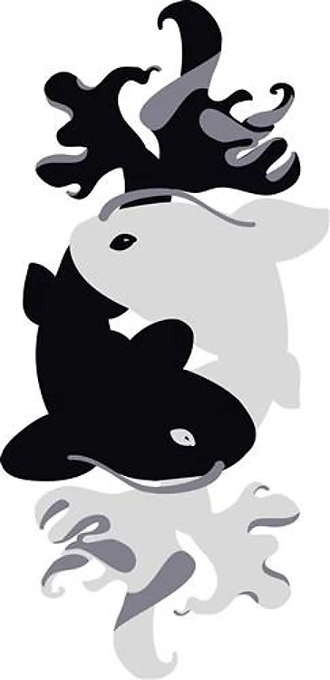 Koi Yin and Yang
