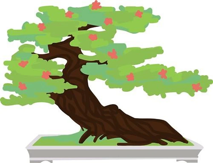 Bonsai