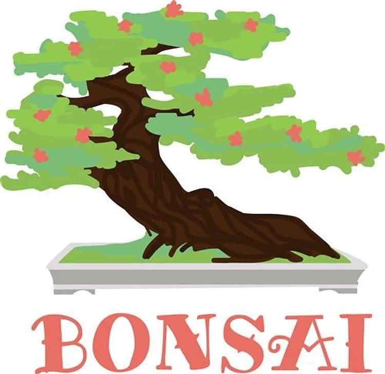 Bonsai