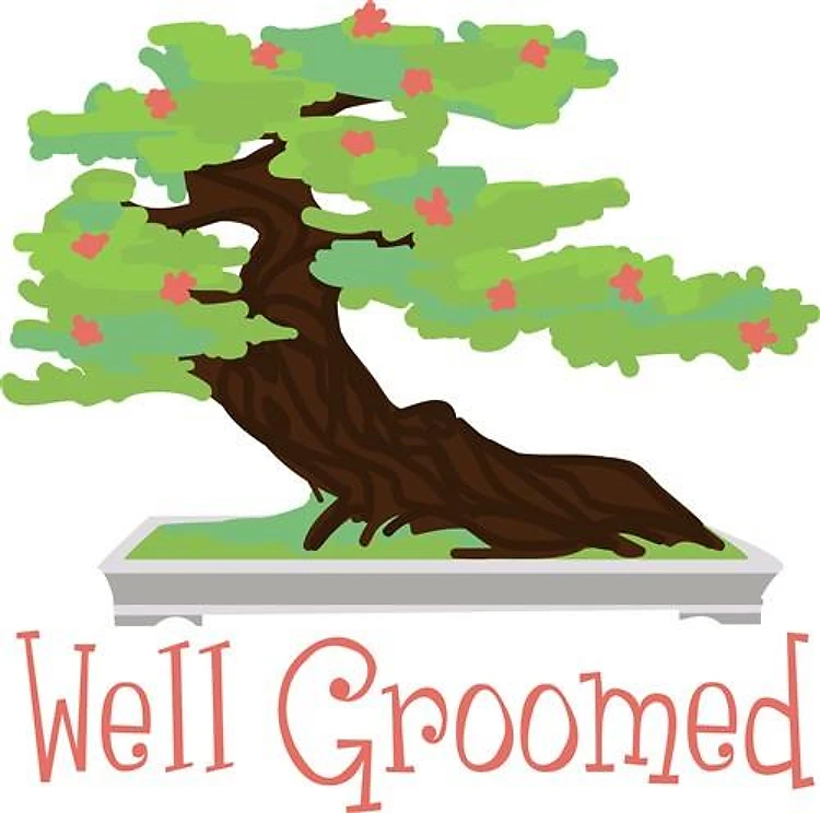 Well Groomed Bonsai