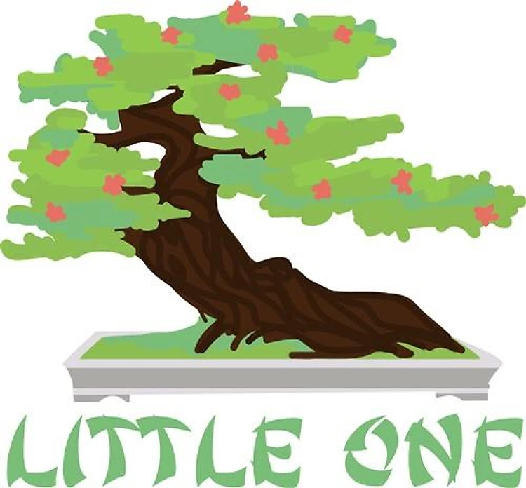 Little One Bonsai