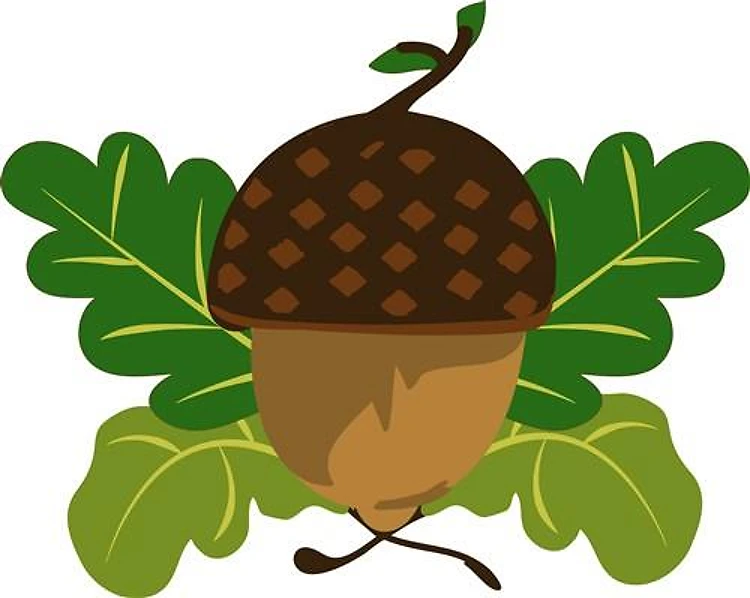 Fall Acorn