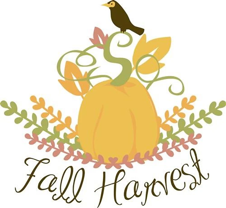 Fall Harvest