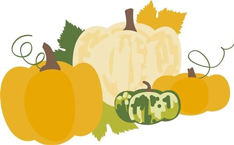 Pumpkin Variety