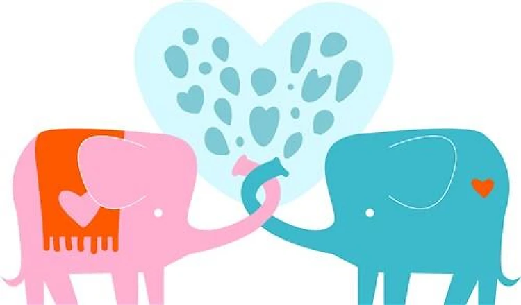 Love Elephants