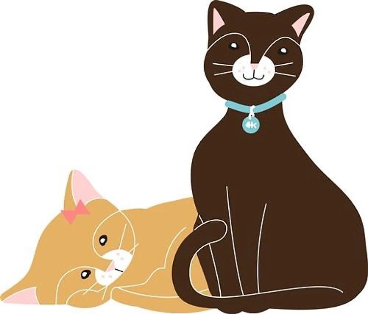 Two Kitties