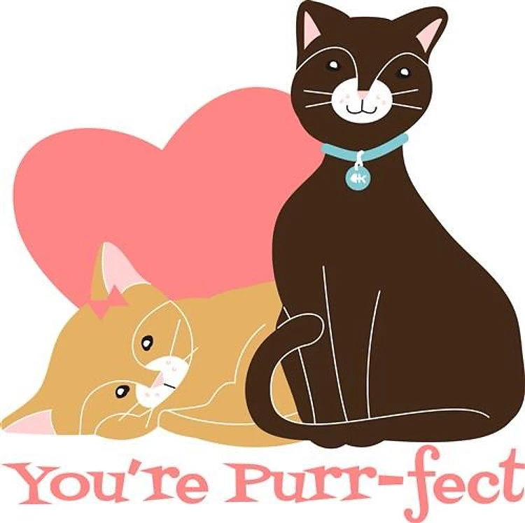 Cats In Love