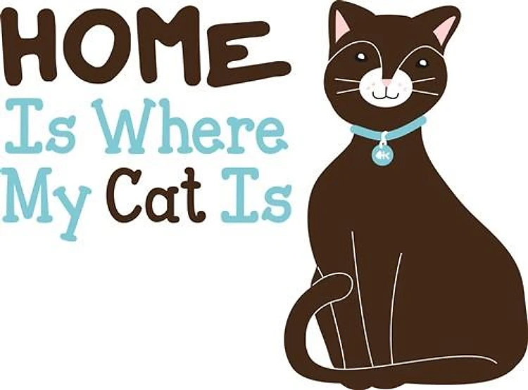 My Cat