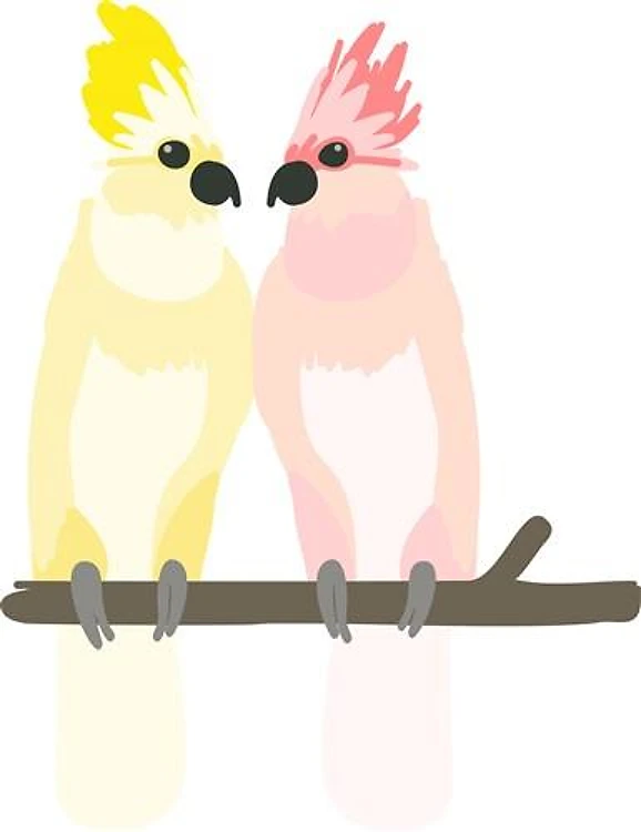 Two Cockatoos