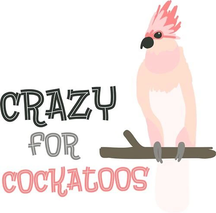 Crazy For Cockatoos