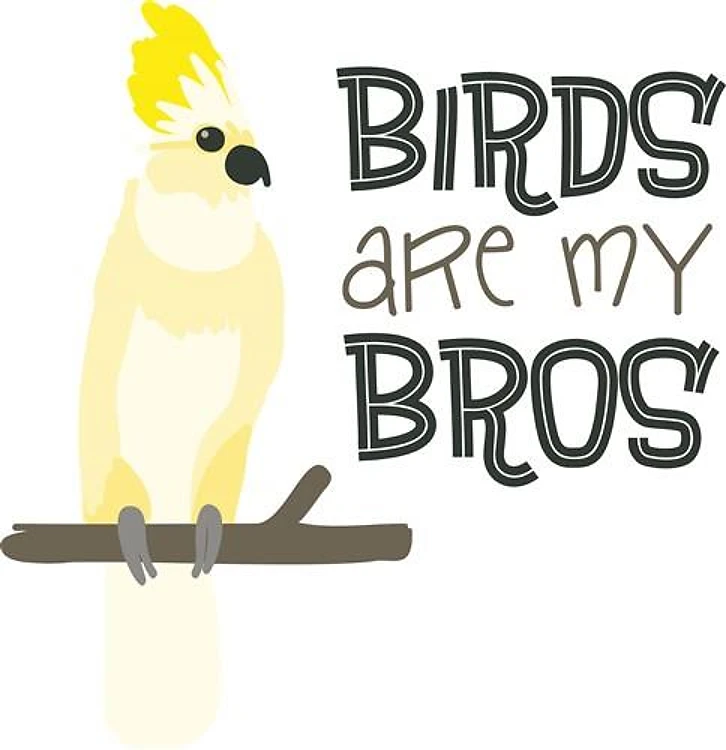 Birds Are Friends