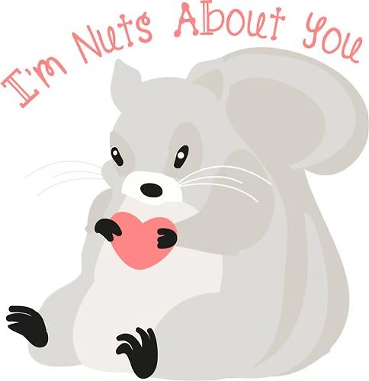 Nuts About You