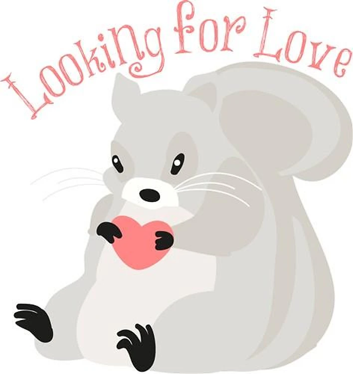 Looking For Love