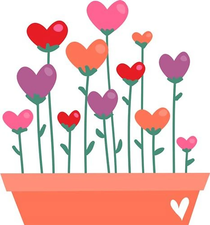 Valentine Flowers