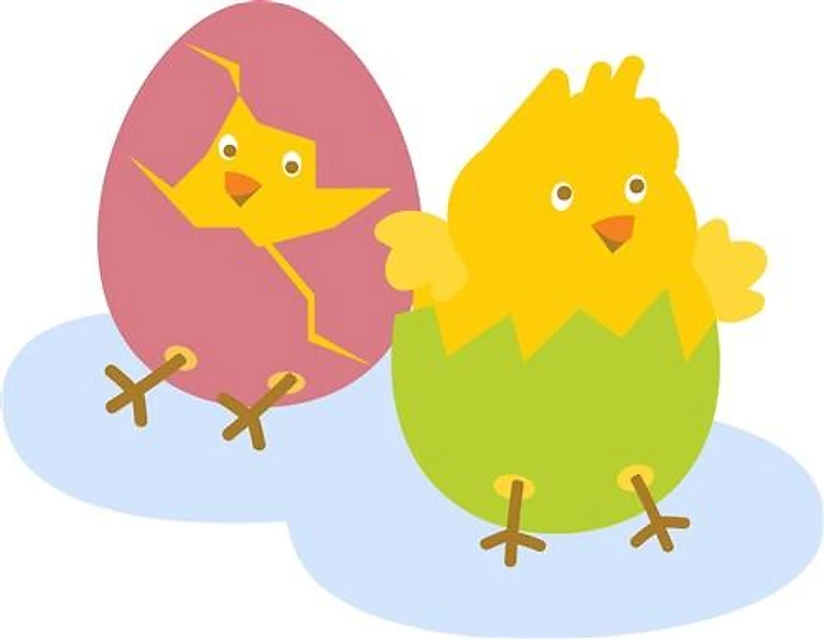 Hatching Chicks