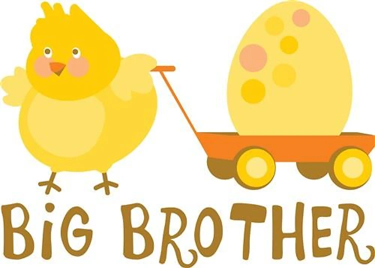 Big Brother