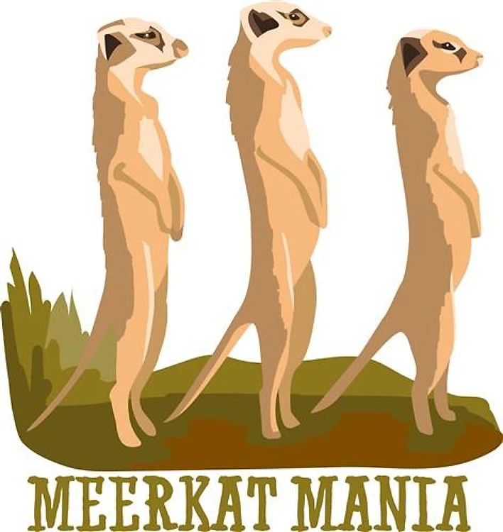 Meerkat Mania