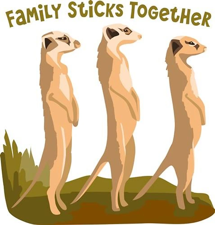 Meerkat Family