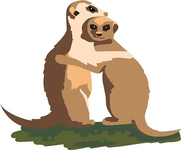 Meerkat Couple