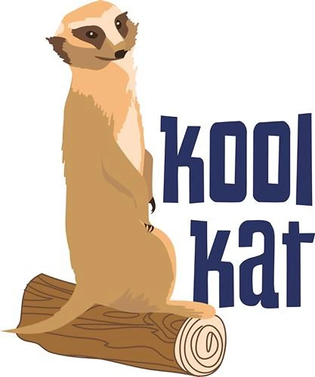 Kool Kat
