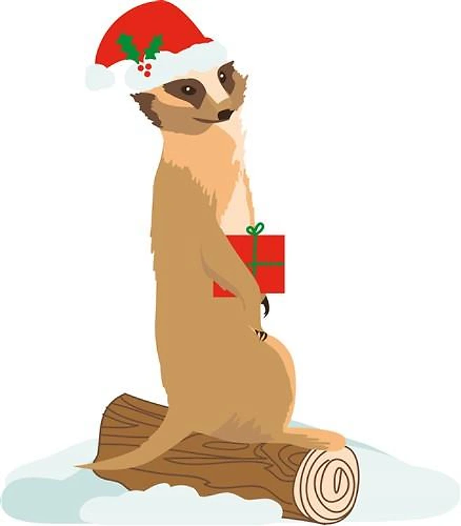 Christmas Meerkat