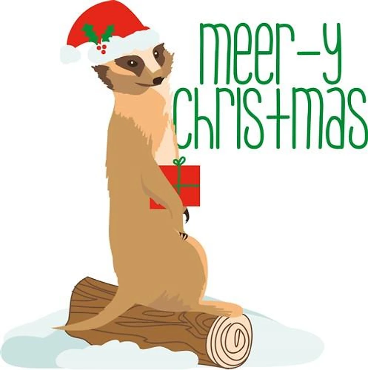 Meerkat Christmas