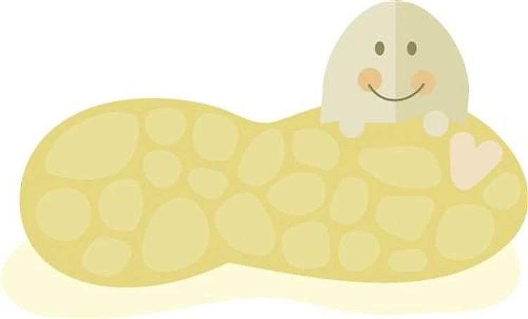 Funny Peanut