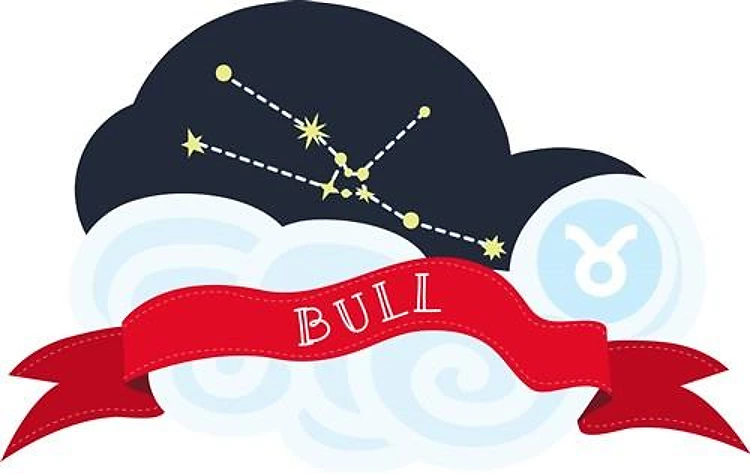 Bull Constellation