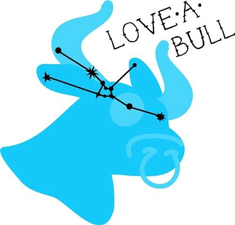 Love A Bull