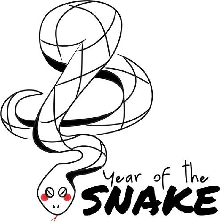 Year of the Snake