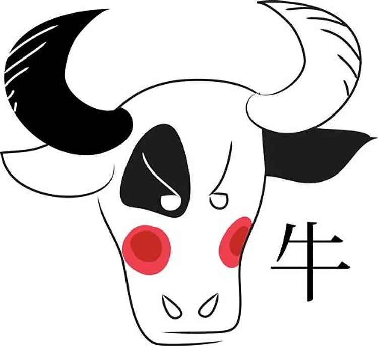 Chinese Ox Year