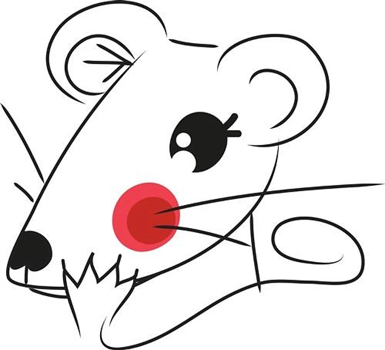 Chinese Mouse Head