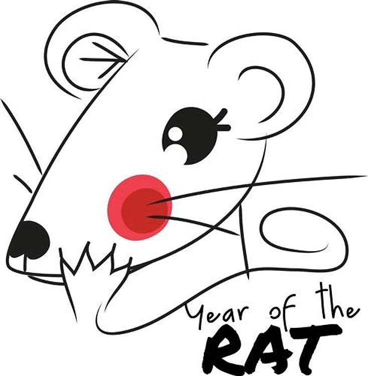 Year of the Rat