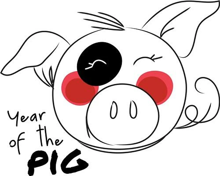 Year of the Pig