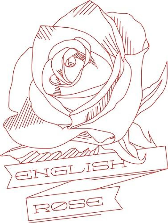 English Rose