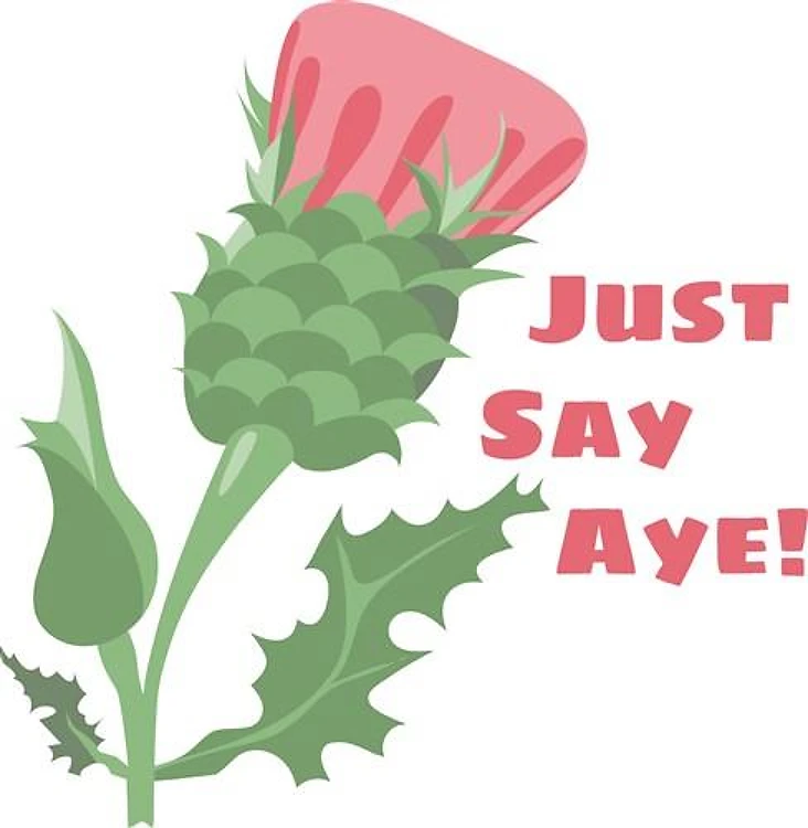 Say Aye!