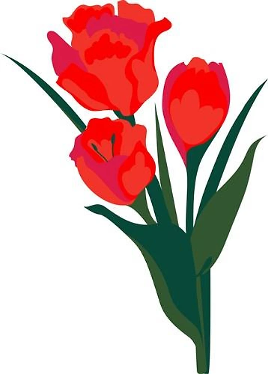 Spring Tulips