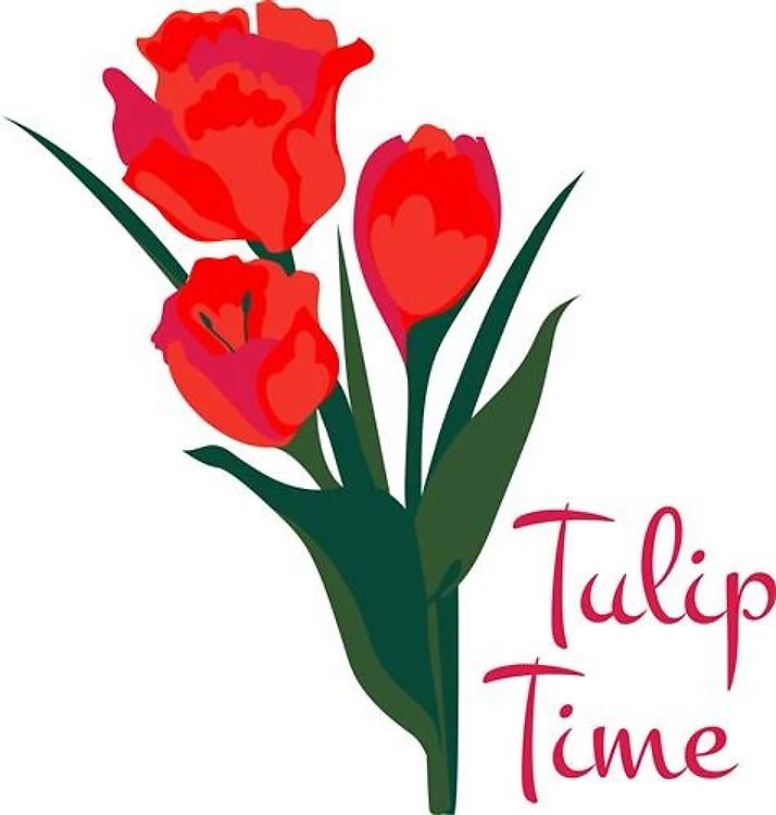 Tulip Time