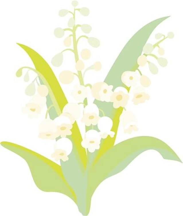Lily Of The Valley