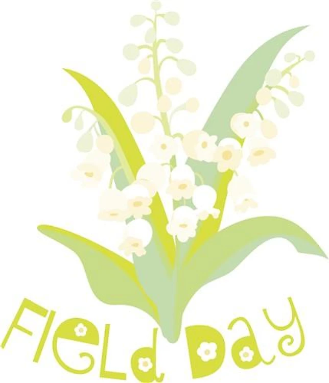 Field Day