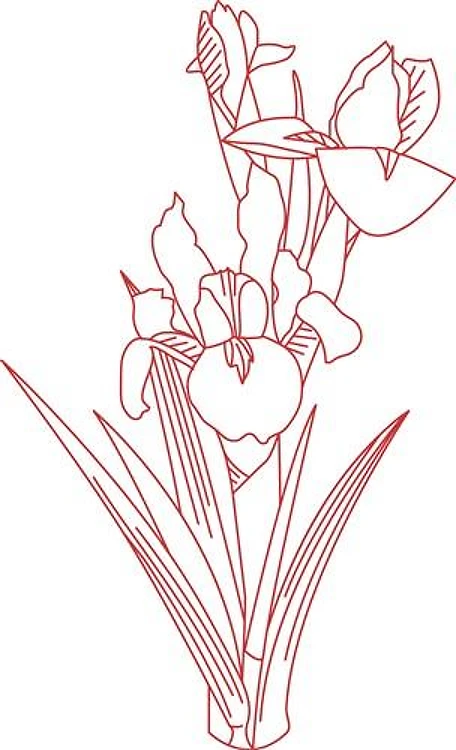 Redwork Iris