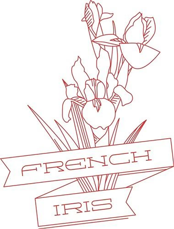 French Iris
