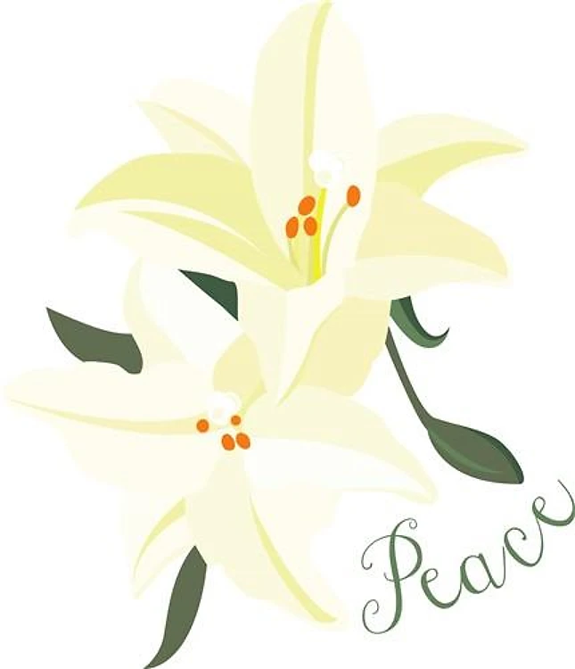 Peace Lily